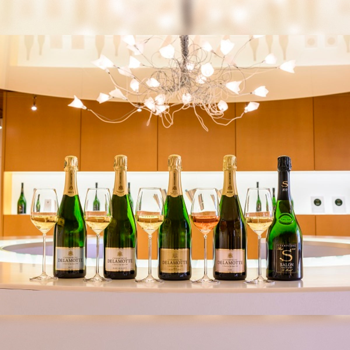 Delamotte Collection