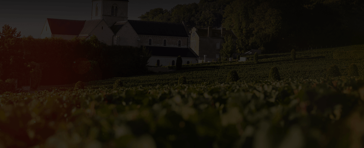Our Wines, Our Terroir