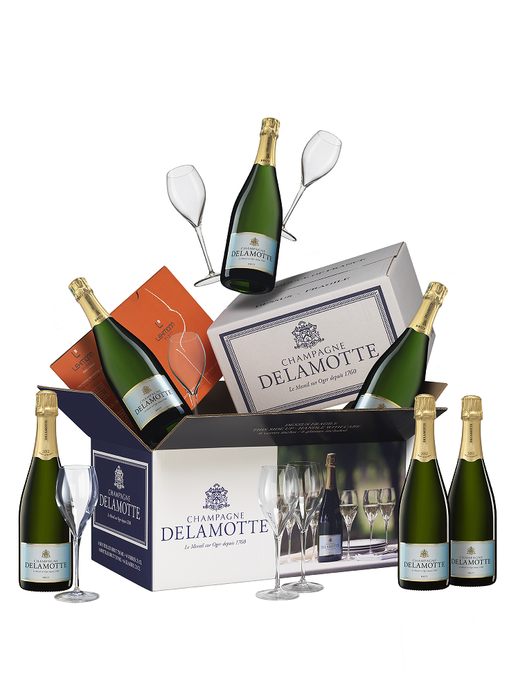 Celebration Case